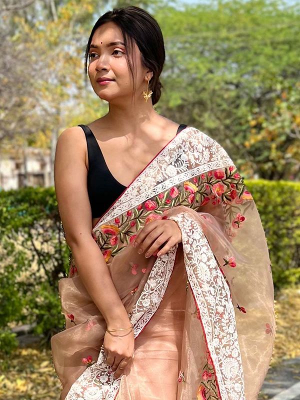 Beige Embroidered Border Saree In Organza