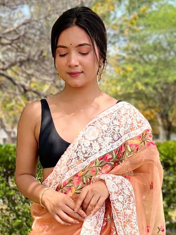 Orange Embroidered Border Saree In Organza