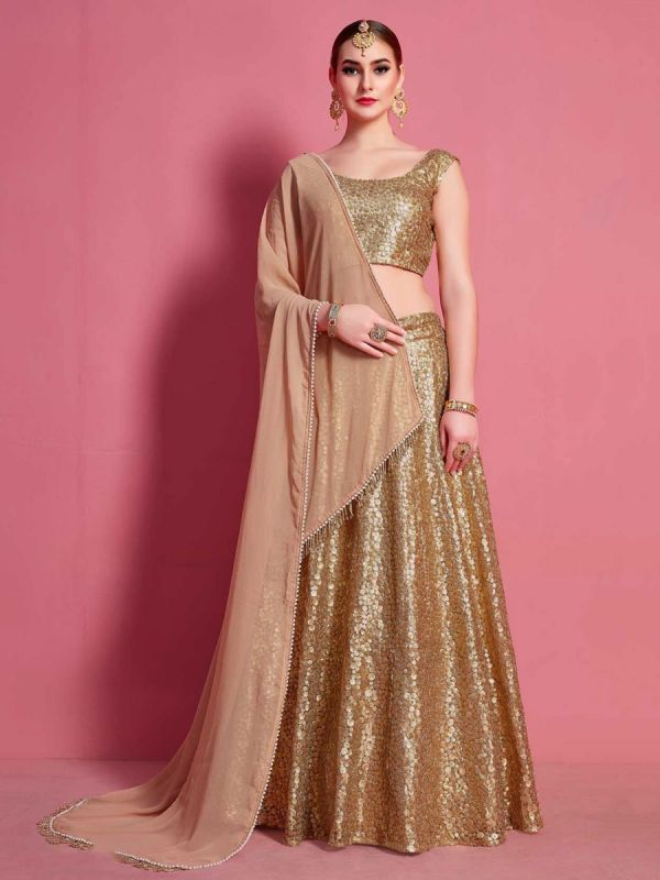 Beige Colour Net Designer Lehenga.