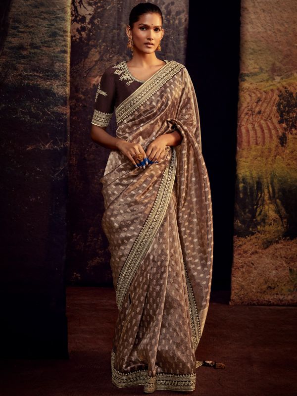 Brown Organza Saree With Embroidered Blouse