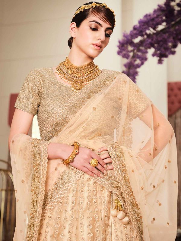 Cream Embroidered Net Lehenga Choli With Dupatta