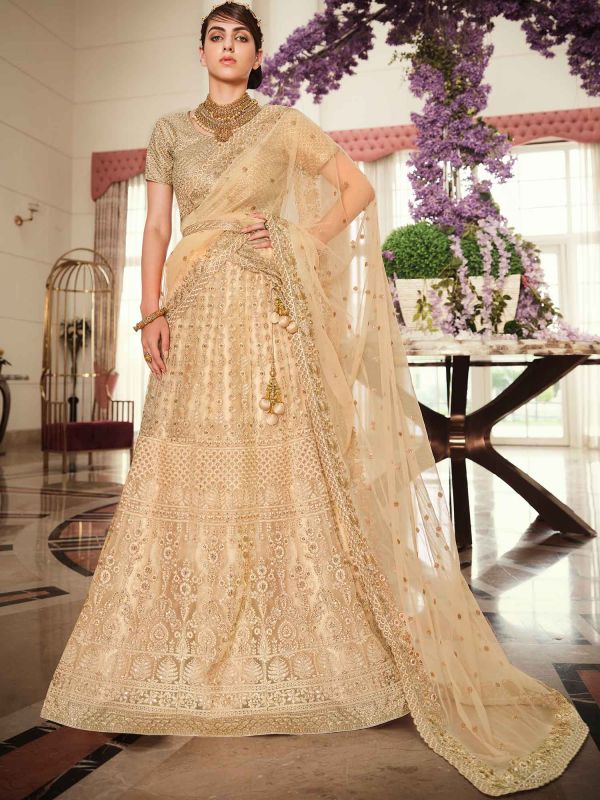 Cream Embroidered Net Lehenga Choli With Dupatta