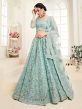 Sky Blue Colour Net Women Lehenga Choli.