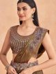 Brown Pre-Draped Saree With Embroidered Blouse