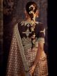 Brown Organza Saree With Embroidered Blouse