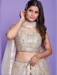 Beige Mirror Work Net Lehenga Choli