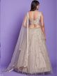 Beige Mirror Work Net Lehenga Choli