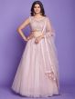 Pink Bridesmaid Net Lengha With Mirror Embroidery