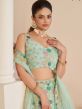 Green A Line Styled Lehenga Choli In Net