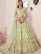Green Net Lehanga Set With Embroidered Blouse