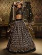 Black Colour Net Party Wear Lehenga Choli.