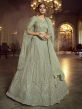 Green Colour Soft Net Lehenga.