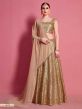 Beige Colour Net Designer Lehenga.