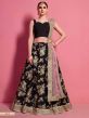 Black Colour Silk Embroidered Lehenga Choli.