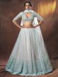 Light Blue Colour Net Lehenga Choli.