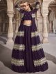 Wine Colour Georgette Fabric Wedding Lehenga Choli.