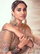 Beige Designer Net Lehenga Choli With Embroidery