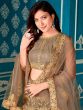 Brown Embroidered Net Lehenga Choli With Dupatta