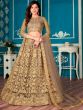 Brown Embroidered Net Lehenga Choli With Dupatta