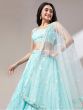 Blue Cutwork Embroidered Net lehenga With Blouse
