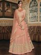 Peach Appliques work Lehenga Choli In Net