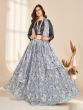 Light Grey Pleated Style Printed Lehenga Choli