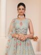 Grey Thread Embellished Net Lehenga With Embroidered Choli