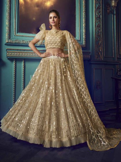 Beige Colour Net Designer Lehenga Choli.