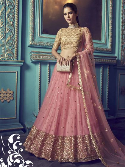 New Design Style Pink Colour Net Lehenga Choli.